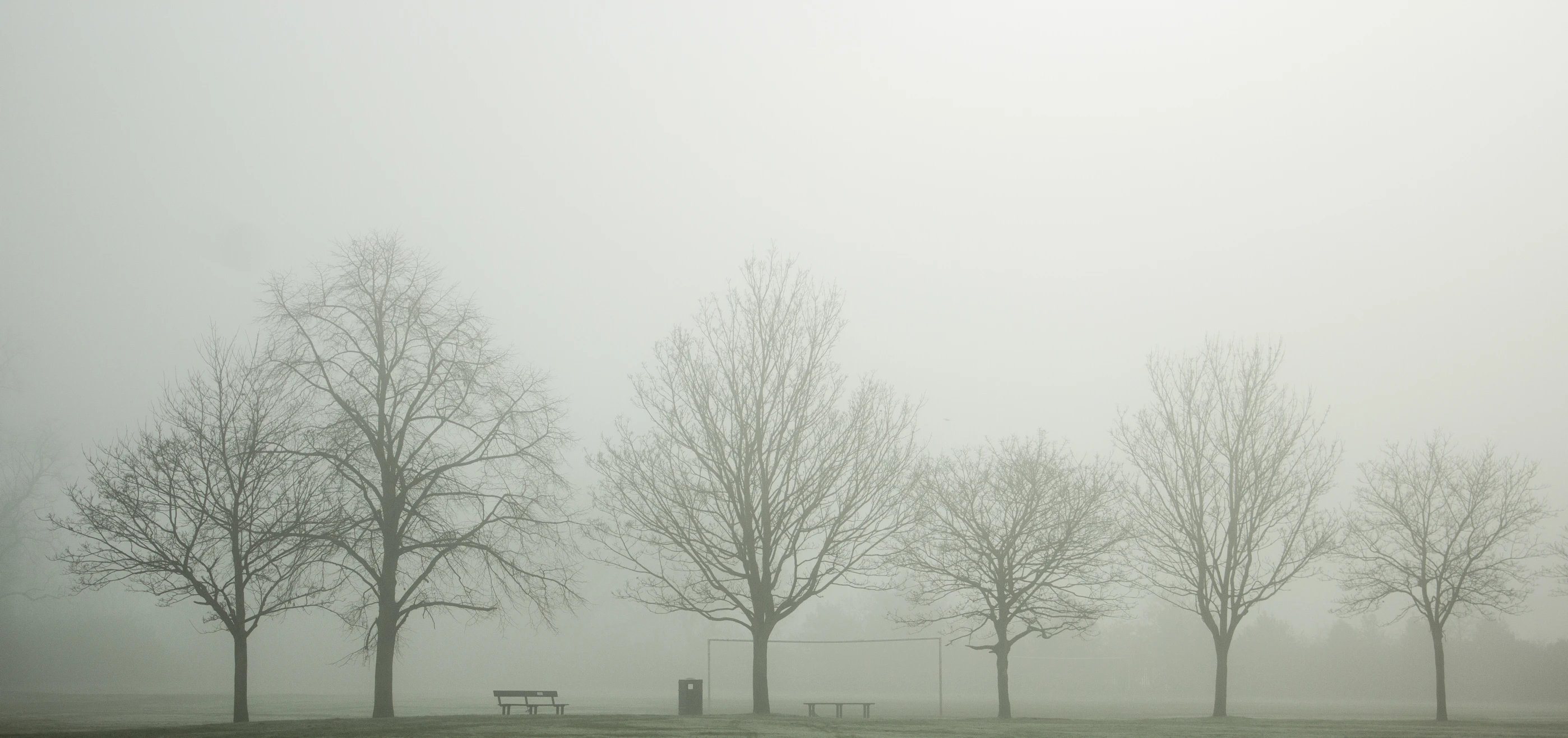 a park bench on a foggy day with trees in the background
