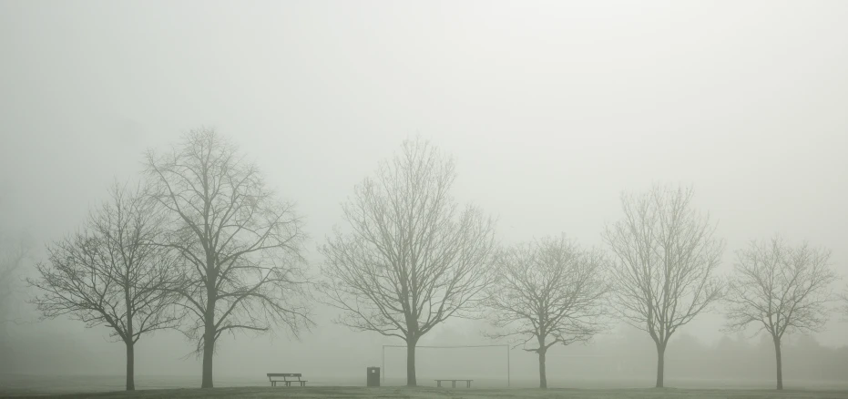 a park bench on a foggy day with trees in the background