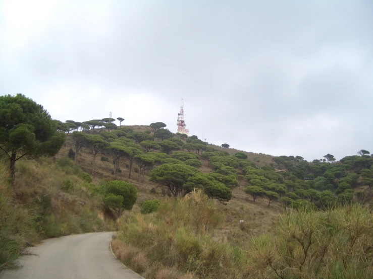 the road is quiet and very picturesque