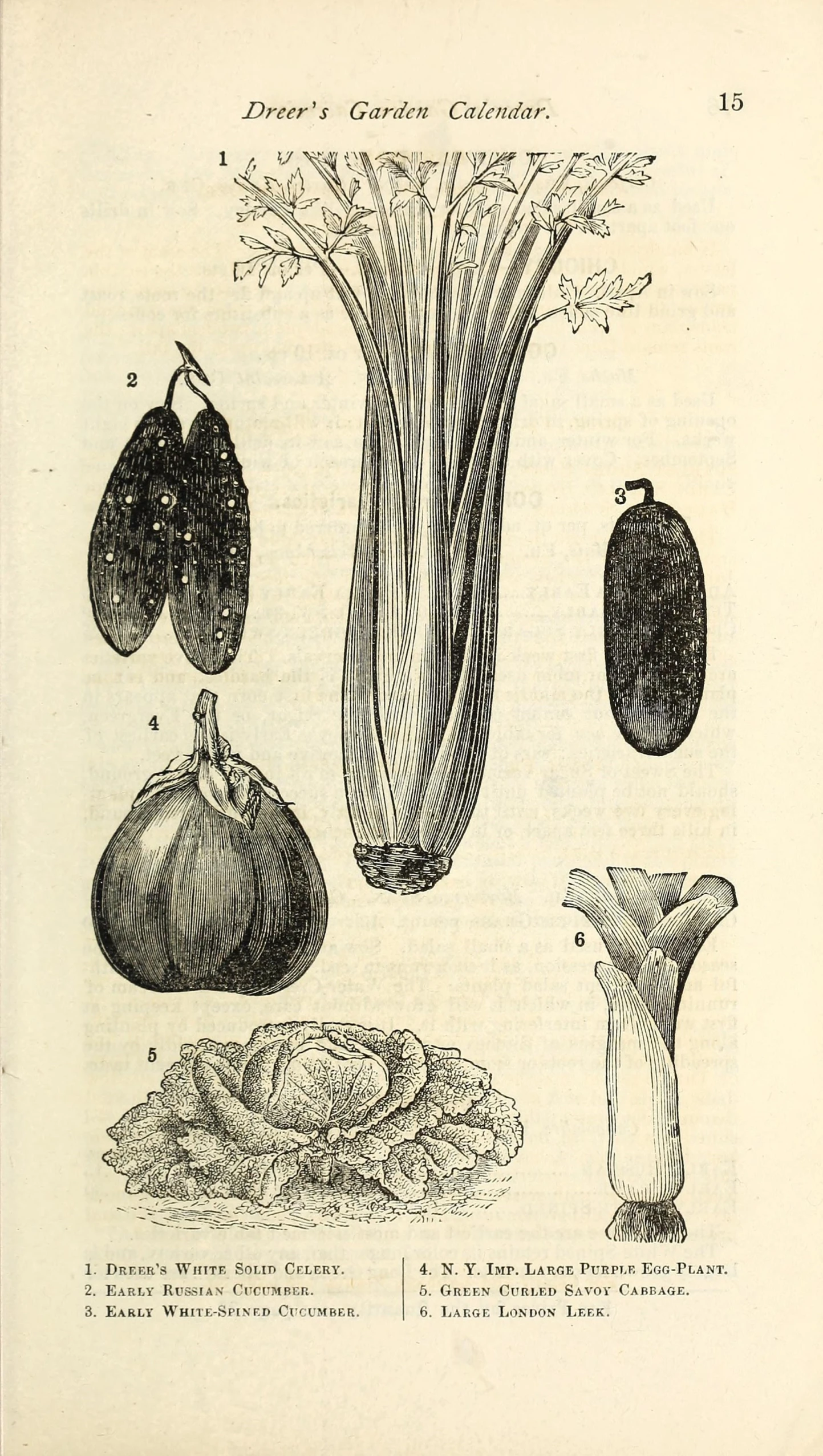 an illustration of a tree nch and fruit, with other trees