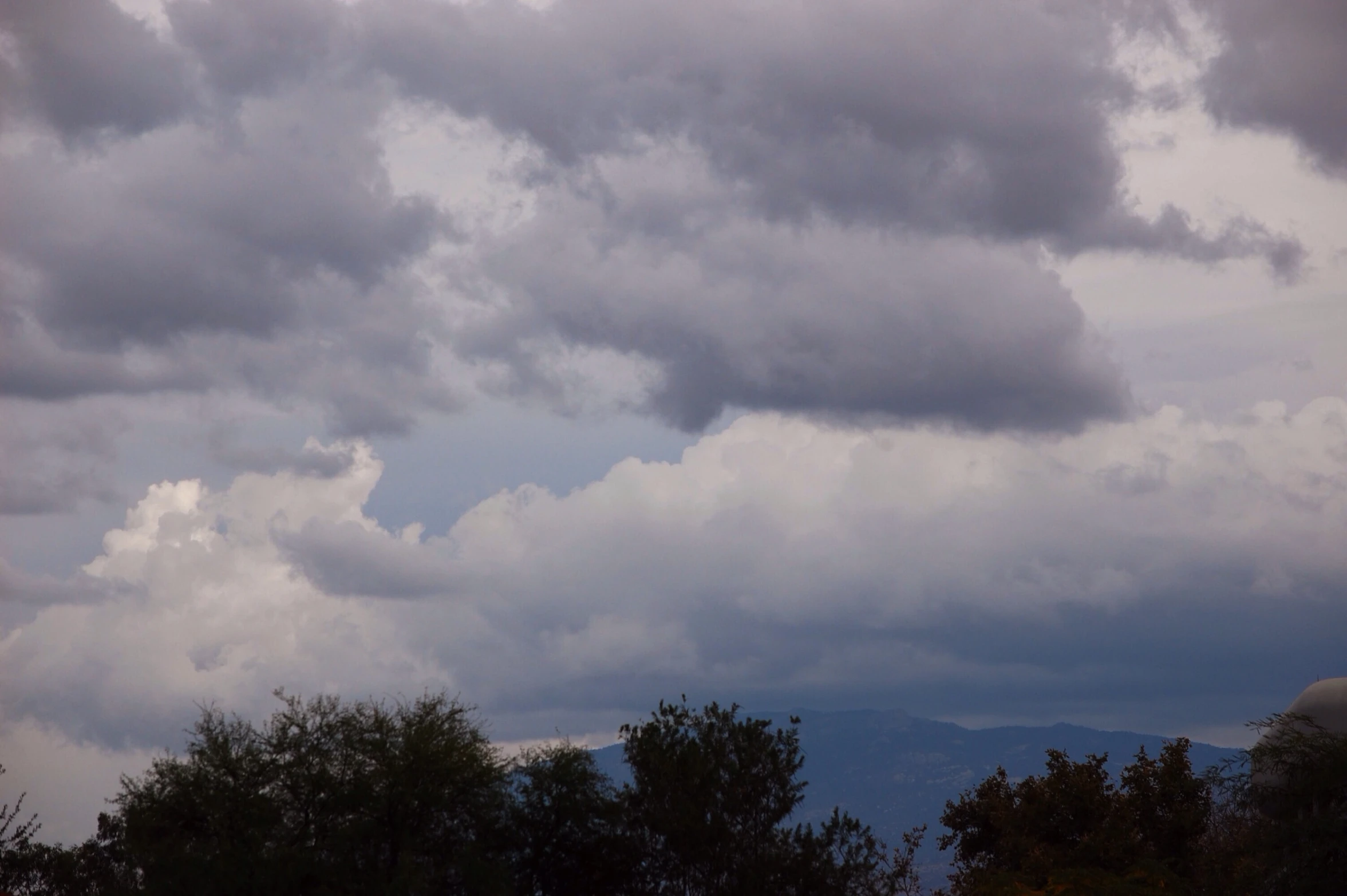 clouds over some trees on a cloudy day