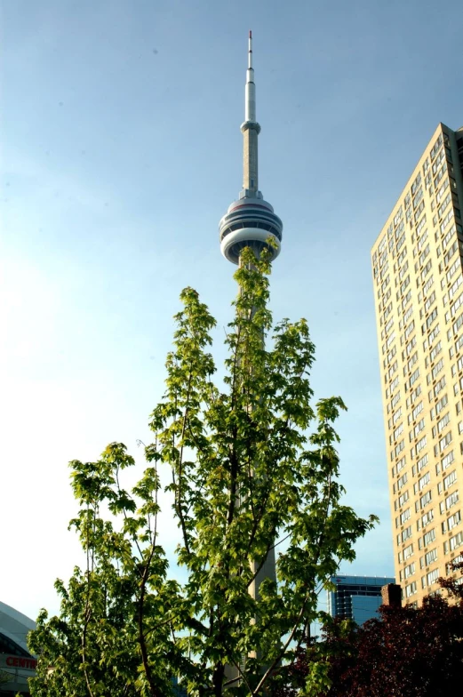 an extremely tall spire with trees and skyscrs