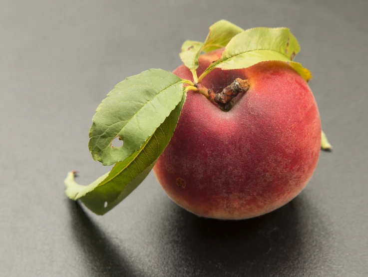 a lone red apple with a leaf on top