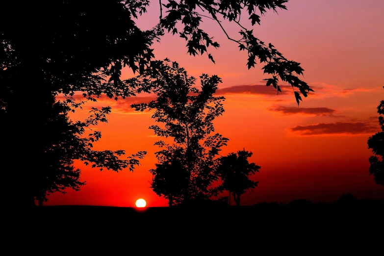 a setting sun through the clouds with trees