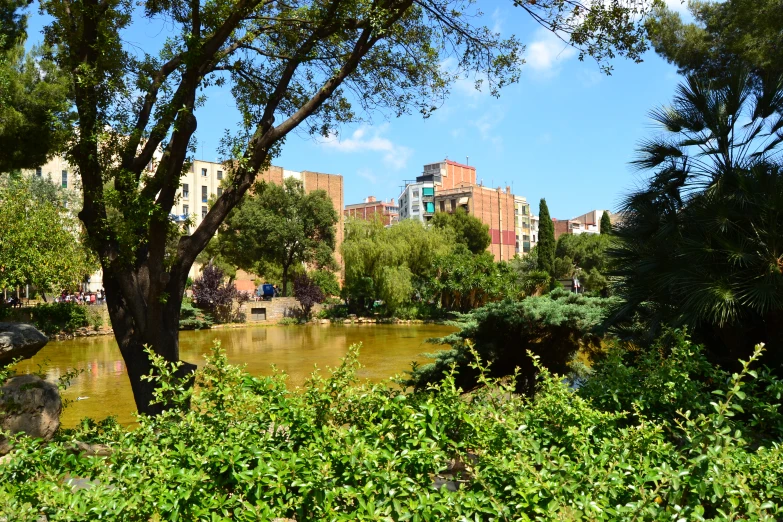 a body of water in the middle of trees with some buildings in the background