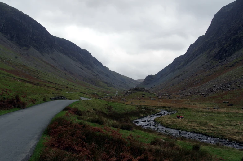 a road surrounded by green grass and mountain peaks