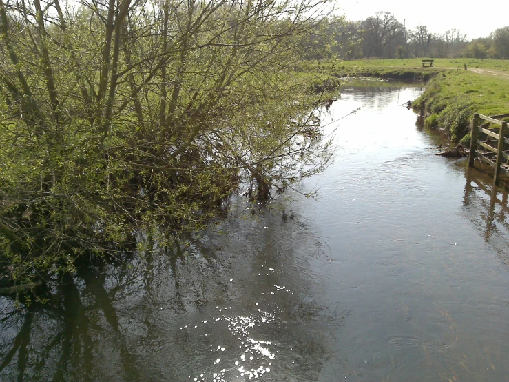 the river in the middle of a grassy field