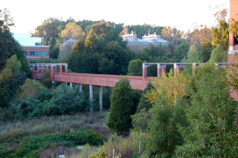 a train on a track going over trees