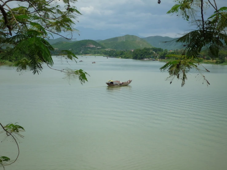 a boat floating down a river next to a forest