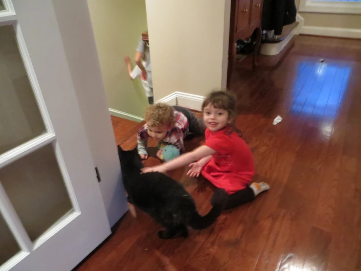 two small children playing with a cat in a room