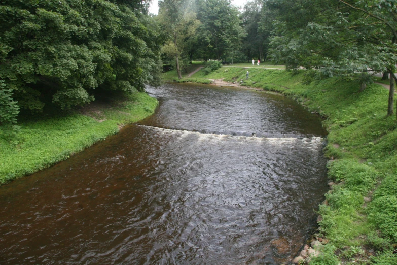 there is some very dark brown water flowing down a river