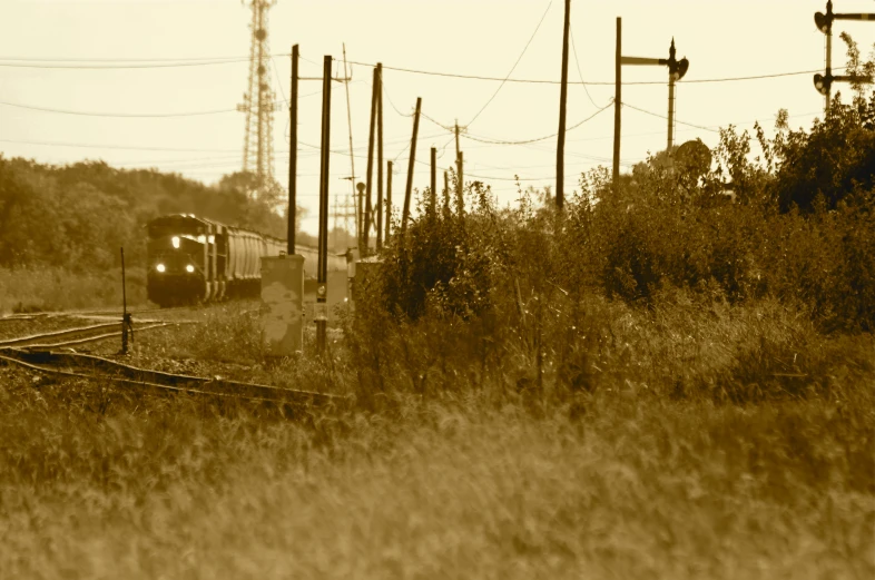 a small train going through the field of dry grass