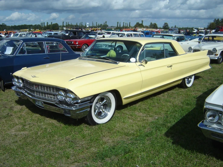 cars are lined up on the grassy field