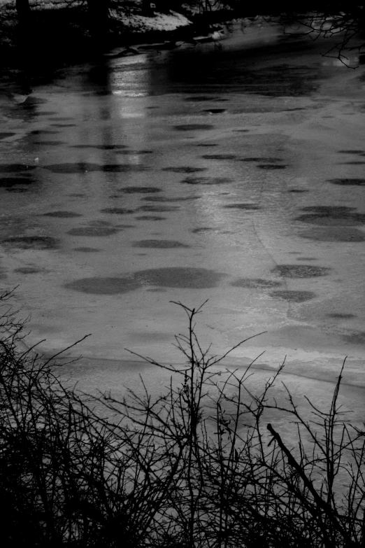 a body of water that has frozen in some kind of ice