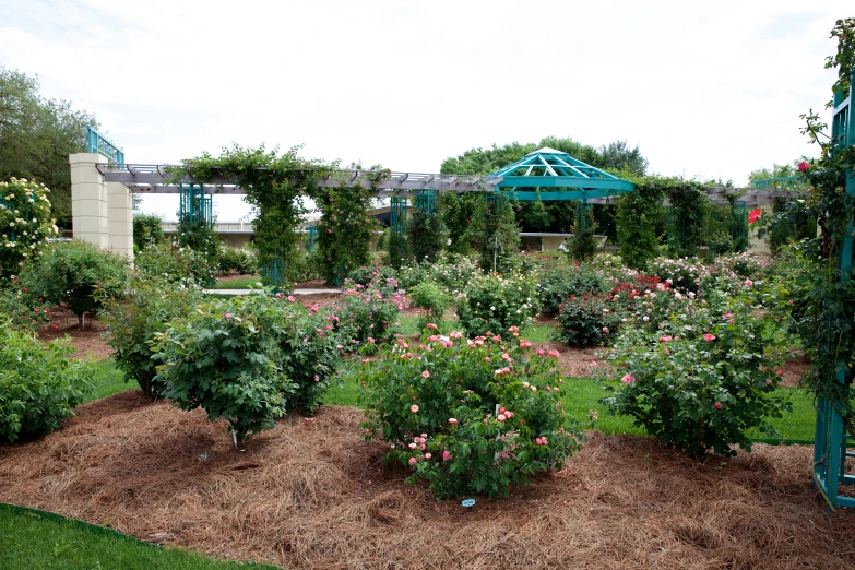 an open - air park is shown with many flowers