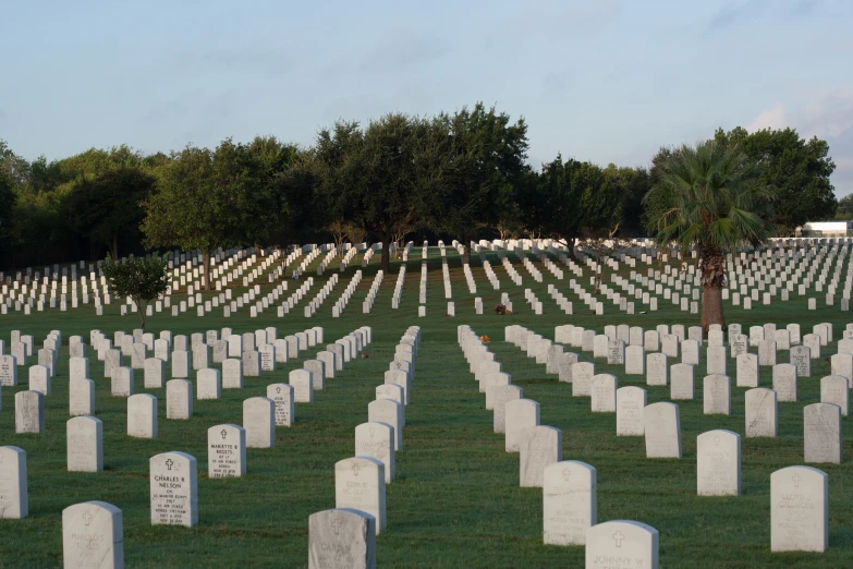 rows of headstones in a cemetery field on a clear day