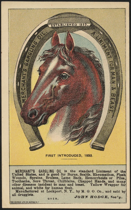 a vintage cover of a red horse with a yellow border