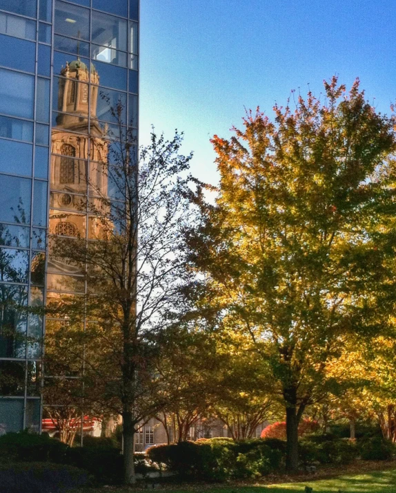 a tall building with a clock tower stands near trees and grass