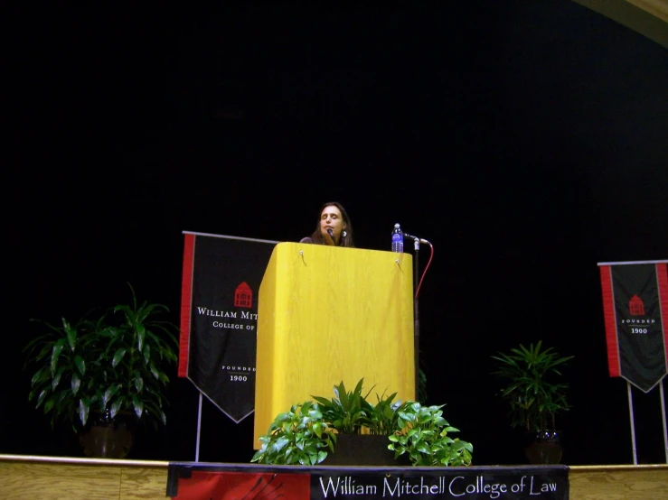 a woman is speaking at an event in front of flags