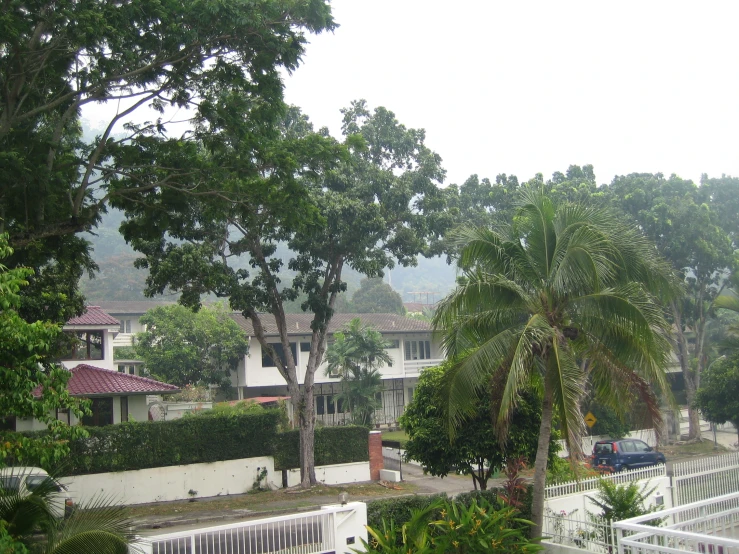 a white house in a treed area with cars on the road