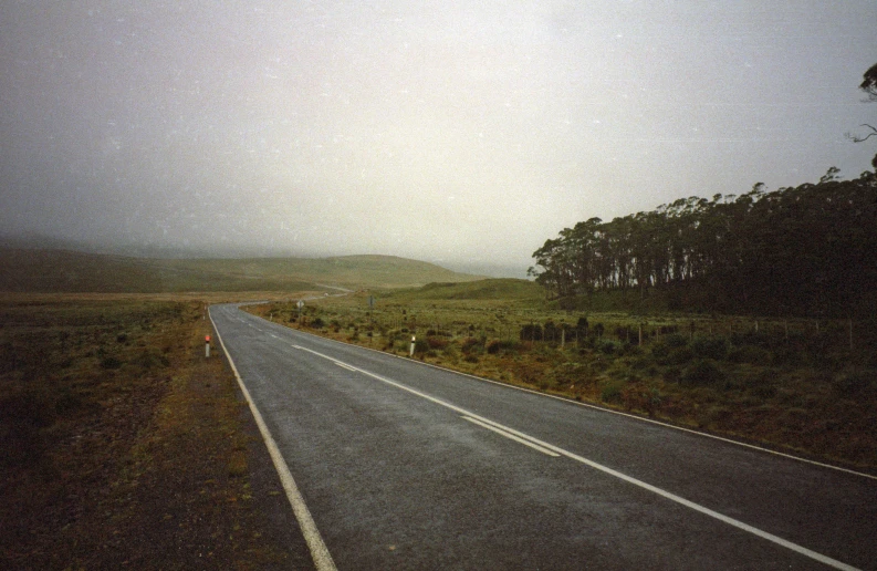 a white road going through a foggy landscape with trees