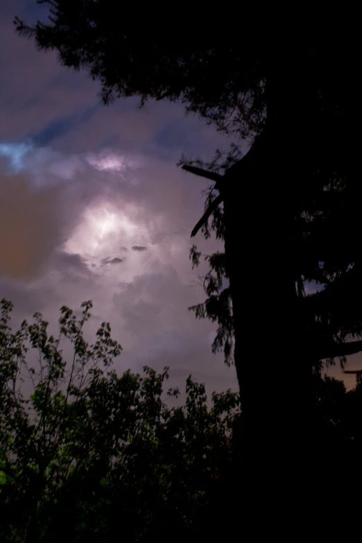 clouds with trees in the foreground, and trees under it