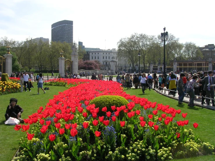 people are gathered in a big city garden