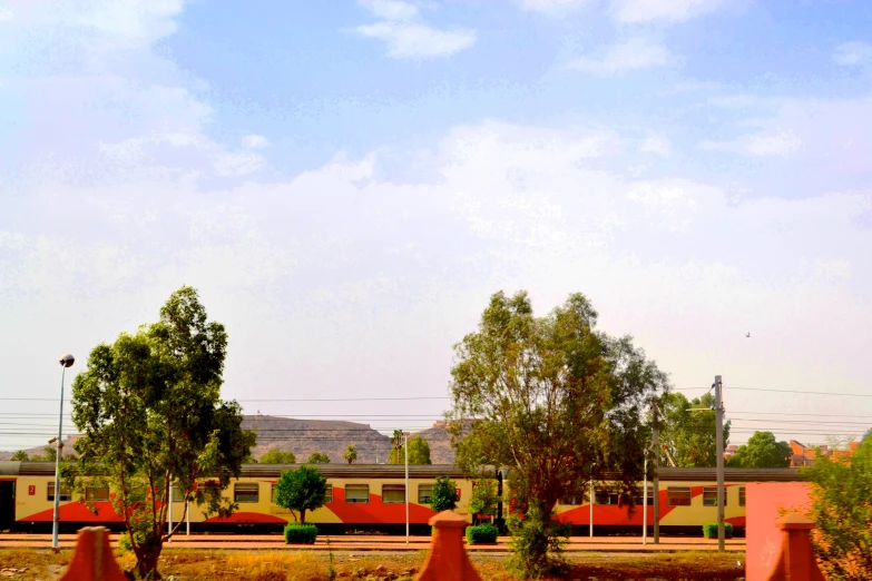 trees and some orange posts in a park