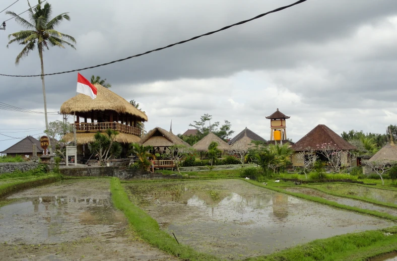 the grass is growing all over the small village