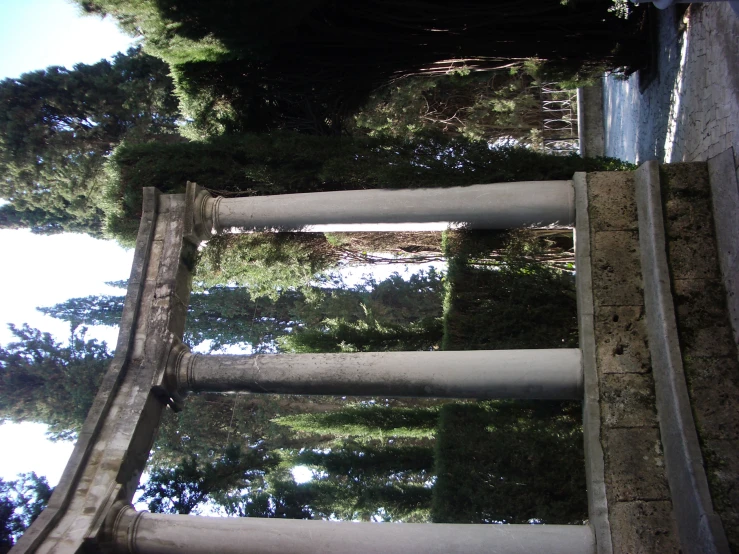 a tall wooden structure with trees reflected in it