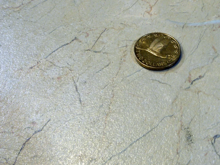 a small round brown coin sits on a marble counter