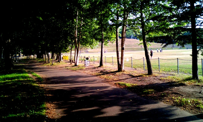 a narrow trail surrounded by trees on the side