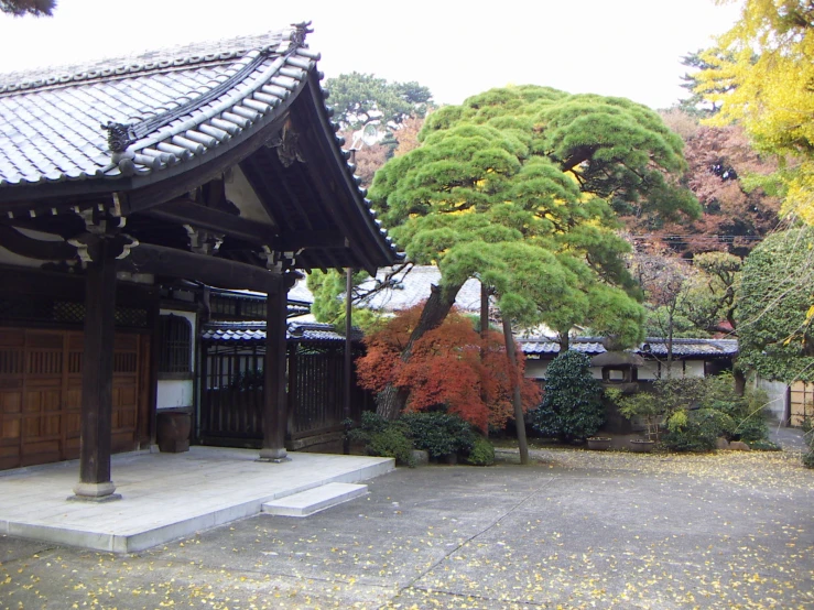 an outside courtyard in a building, surrounded by trees