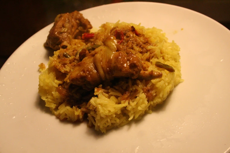a dish on a plate consisting of rice, meat and sauce