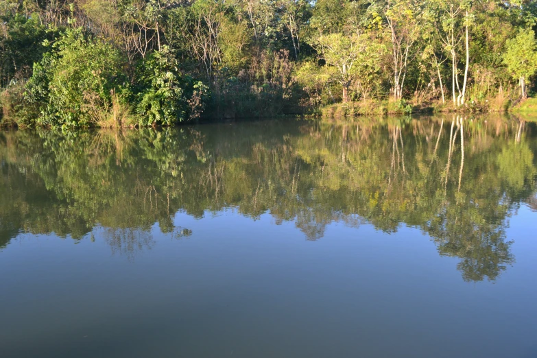 a lake surrounded by trees in the foreground and a clear sky