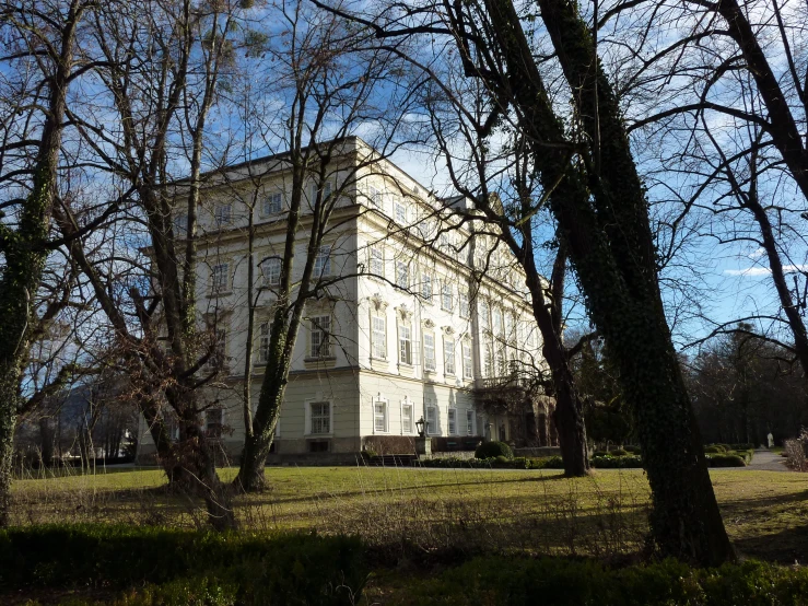 a white building is surrounded by leafless trees