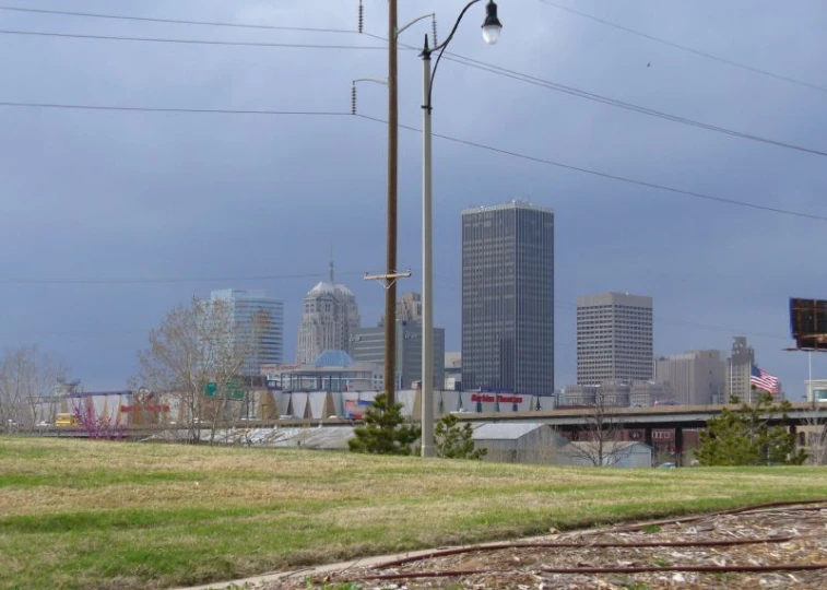 the city skyline is visible in the distance from a grassy area