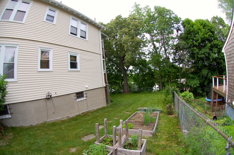 a garden filled with lots of green grass