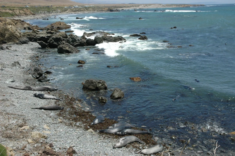 a rocky shore line next to the ocean