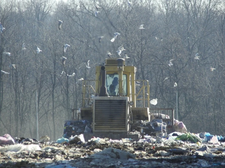 a bulldozer with many birds in the sky