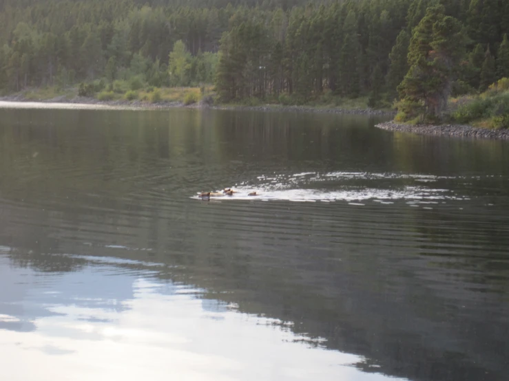 two people in a boat floating on a body of water