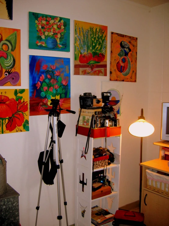 a wall with paintings and various types of cameras on it