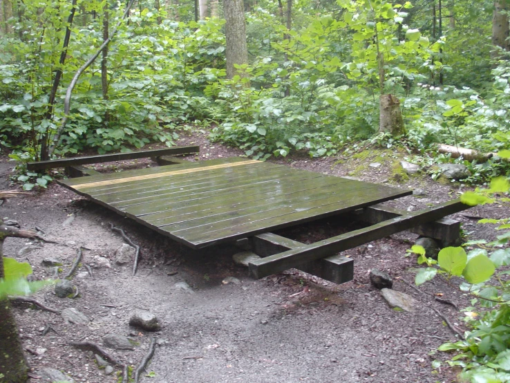 there is a bench in the middle of the woods