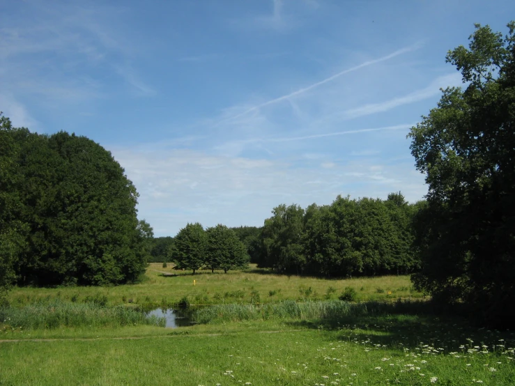 an empty park and field with a creek on the far side