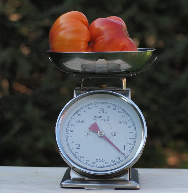 a close up of a bowl of food on a scale