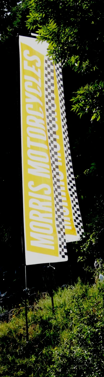 two racing flags on pole with trees behind them