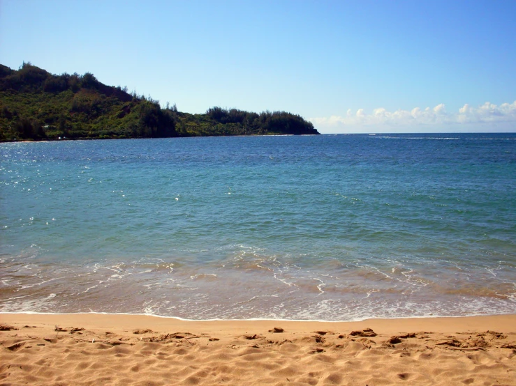 a lone bird stands in the water next to a beach