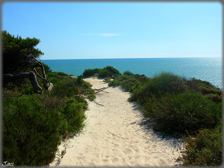 a sandy trail to the beach next to the ocean