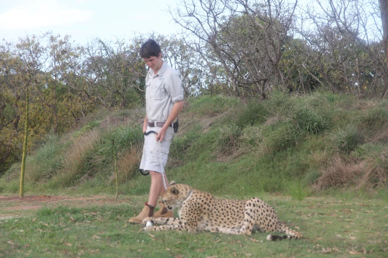 a man standing next to two cheetah laying on top of a field