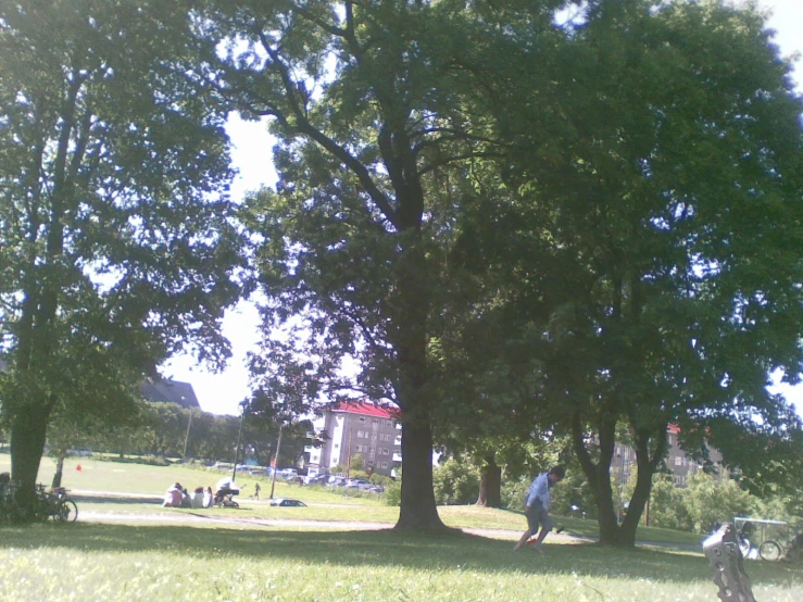 a park has a couple of people walking on it